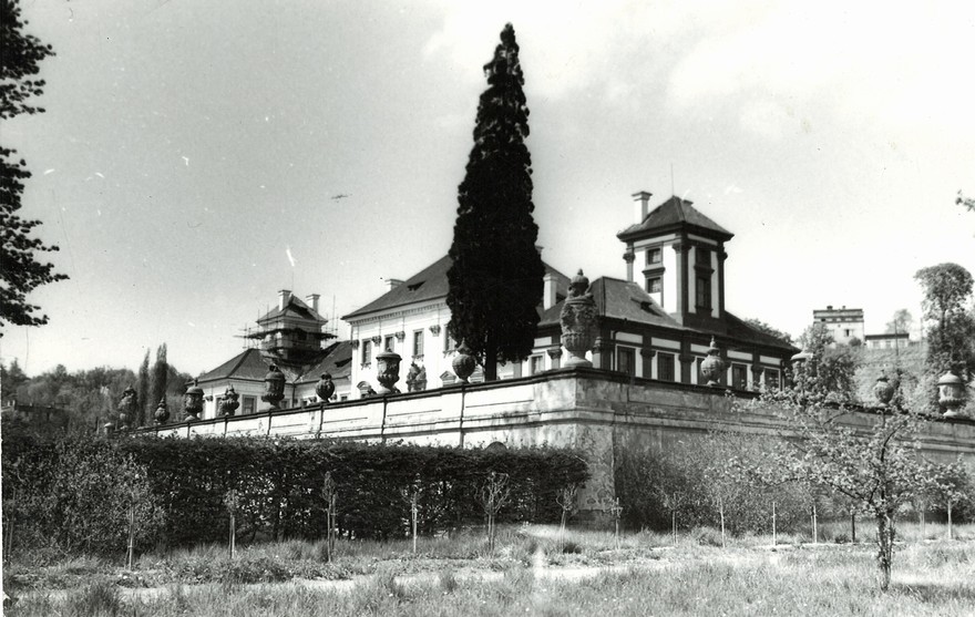 matecni-rostlina-pazeravu-v-trojskem-zamku.jpg
