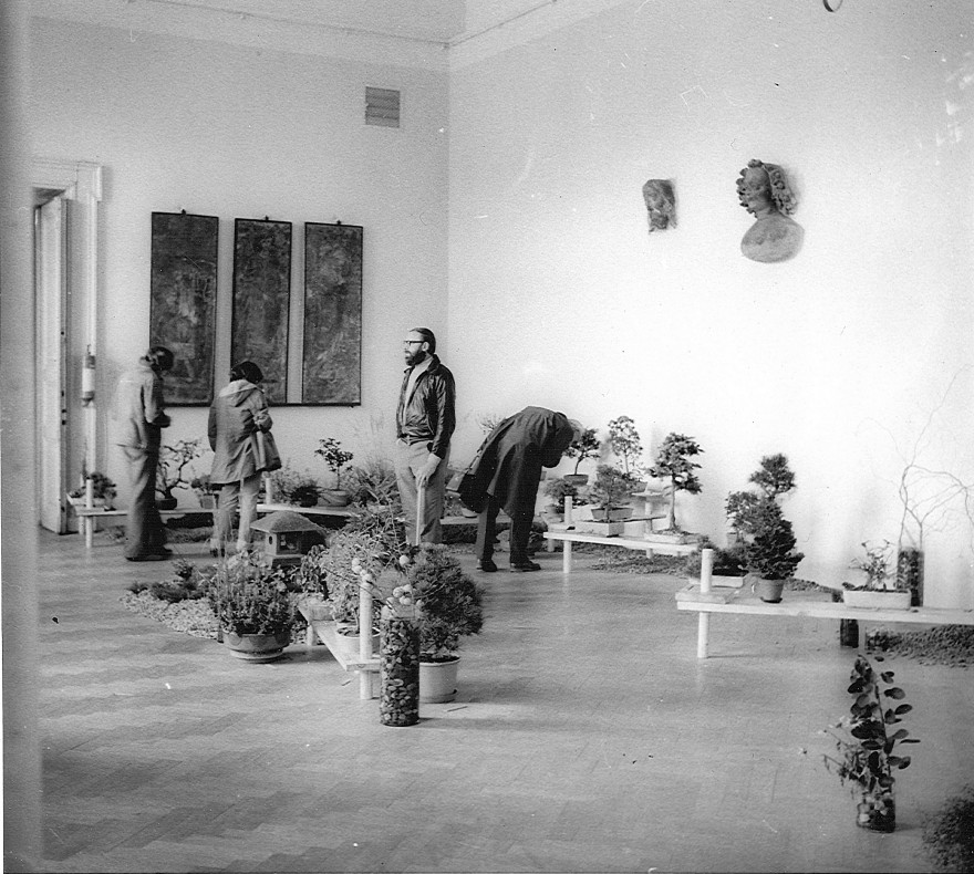 prvni-vystava-bonsaji-v-muzeu--2-.jpg