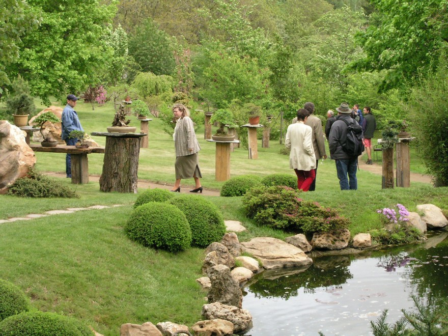 vystava-bonsaji-v-asijske-zahrade-2004.jpg