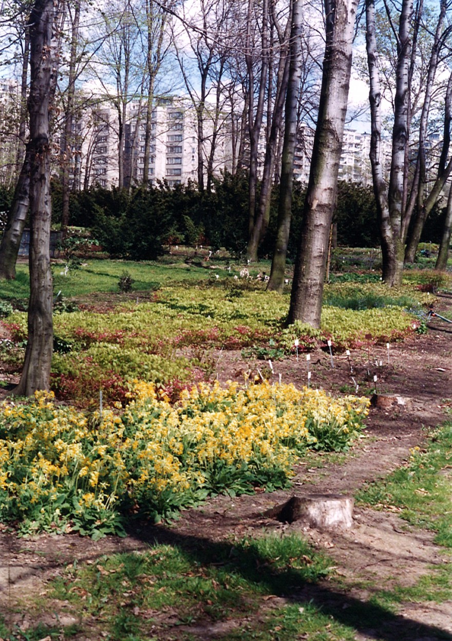 expozice-hajnich-rostlin--devadesata-leta.jpg