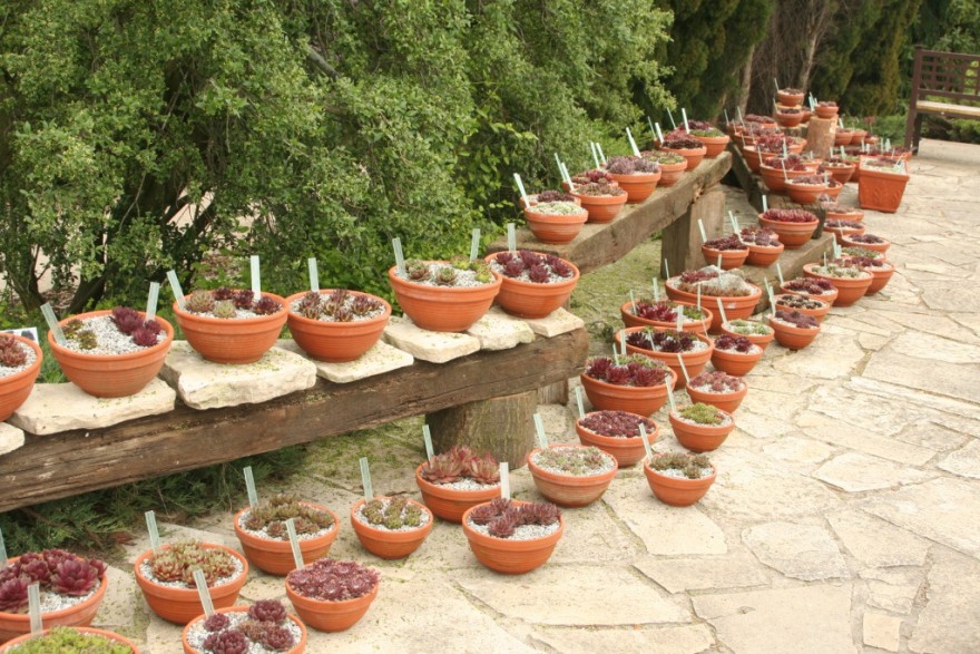 vystava-sortimentu-netresku-2010_m.jpg