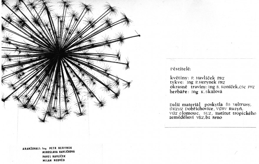 prvni-velkou-vystavou-botanicke-zahrady-byla-vystava-v-elektrickych-podnicich-1974--1-.jpg