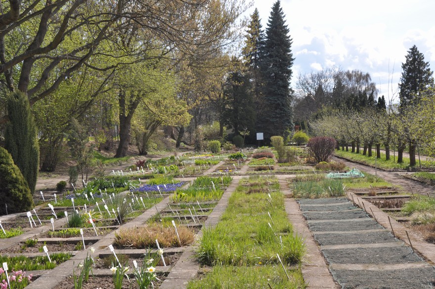 system-v-botanicke-zahrade-stredni-zemedelske-skoly-v-rakovnice.jpg