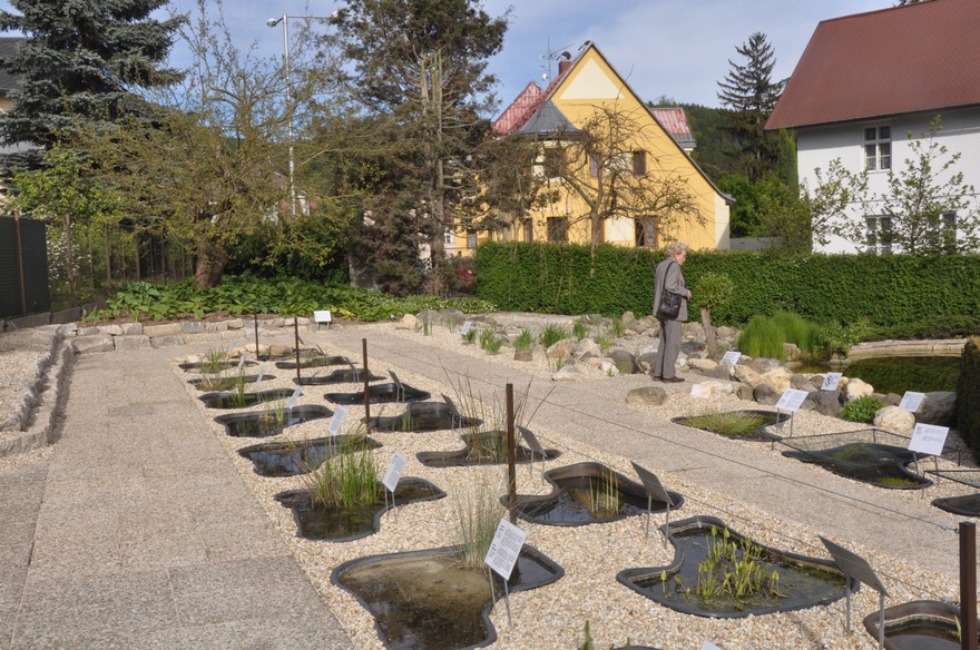 expozice-vodnich-rostlin--botanicka-zahrada-liberec.jpg