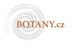 botany-nove.jpg