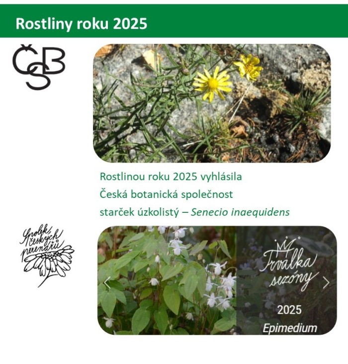 rostl_rok.jpg