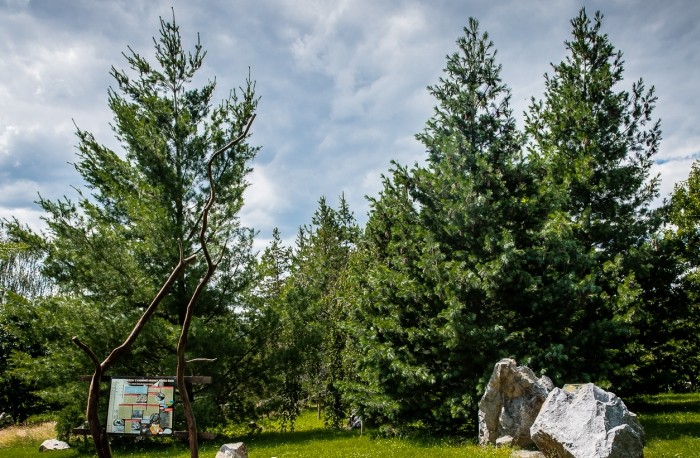 borsem-web.jpg